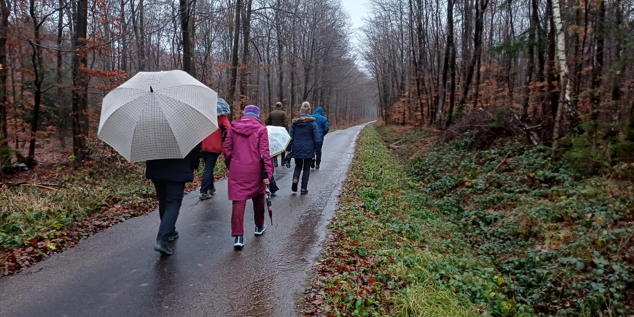 Nikolausaktion (c) Annalena Kiefer Nikolausaktion