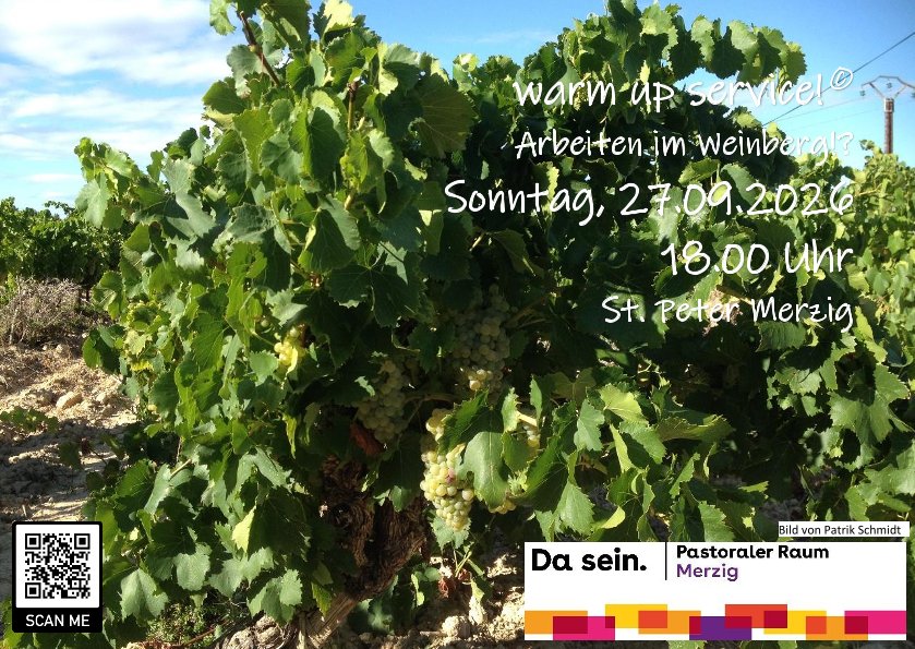 warm up service 27.09.2026 Arbeit im Weinberg